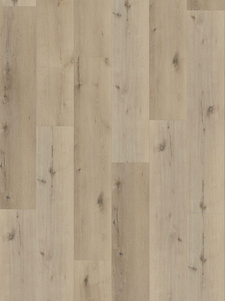 Check One 0.55 Hellweg Eiche Landhausdiele Vinylboden – Bild 6