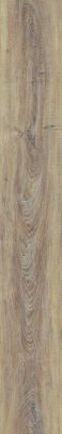 Repac solidDryback 25-05 Classic Eiche Noblesse zum Verkleben Vinylboden – Bild 2