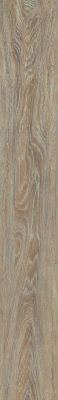 Repac solidDryback 25-05 Classic XL Eiche Noblesse zum Verkleben Vinylboden – Bild 3