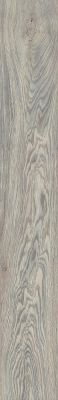 Repac Legend Oak Eiche Creme mit Trittschalldämmung Vinylboden Klick – Bild 3