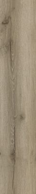 Repac solidDRYBACK 20-03 Legend Oak Eiche Hansegrau Klebe Vinylboden – Bild 2