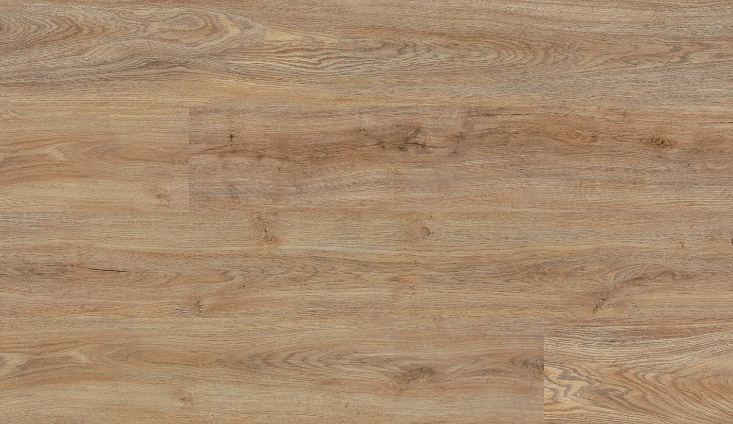 Repac solidDRYBACK 20-03 Legend Oak Eiche Natur Klebe Vinylboden