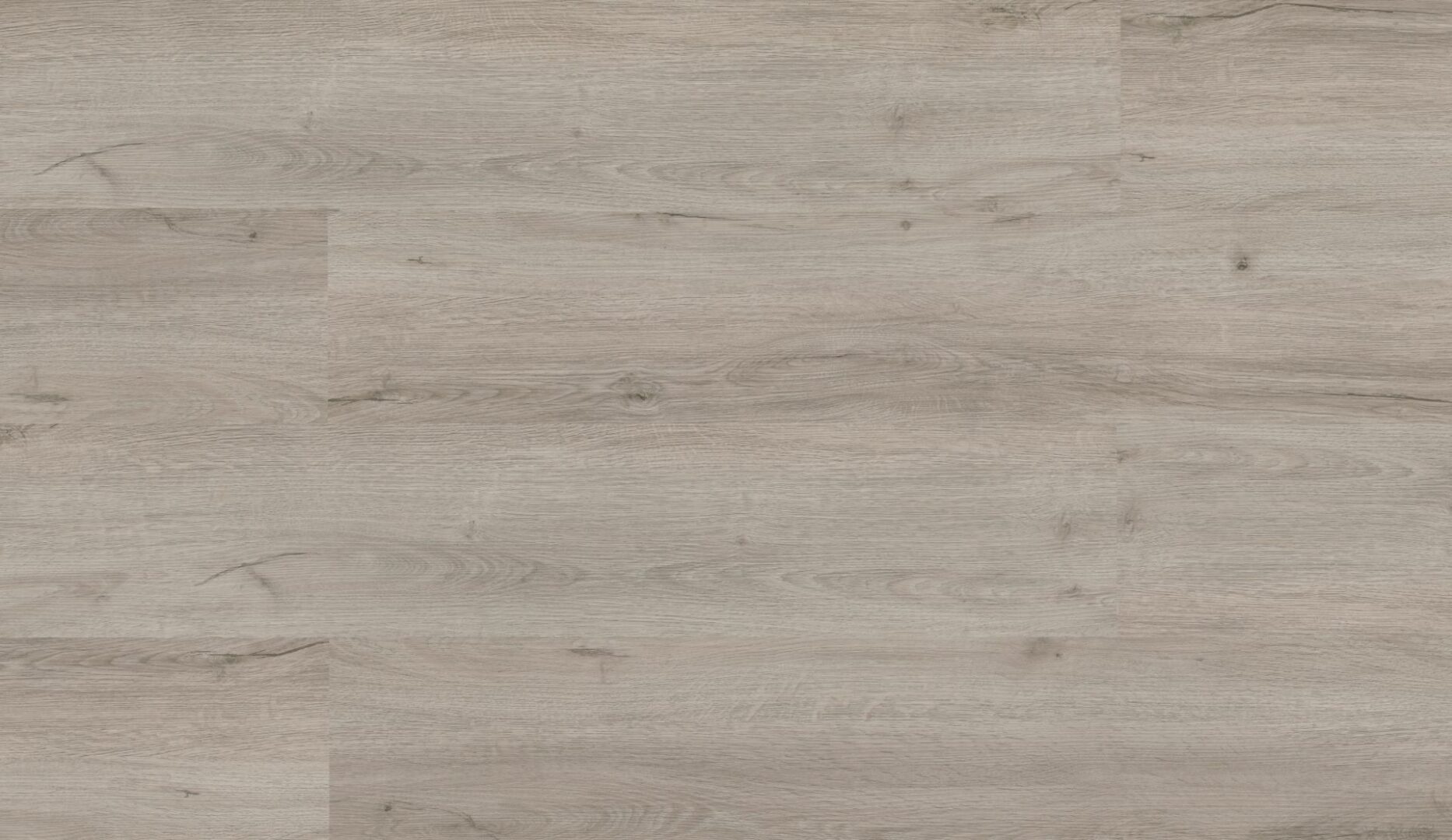 Repac solidLOCK 50-03 Legend Oak Eiche Hellgrau Klick Vinylboden