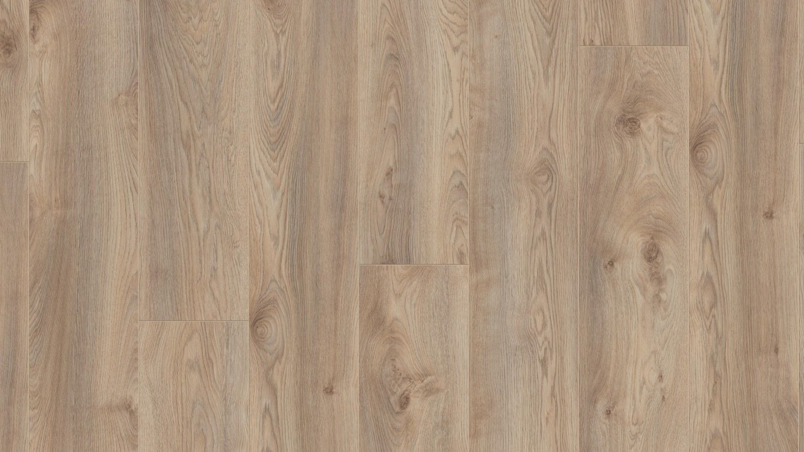 Kronotex Mammut plus Makro Eiche beige Landhausdiele Laminat