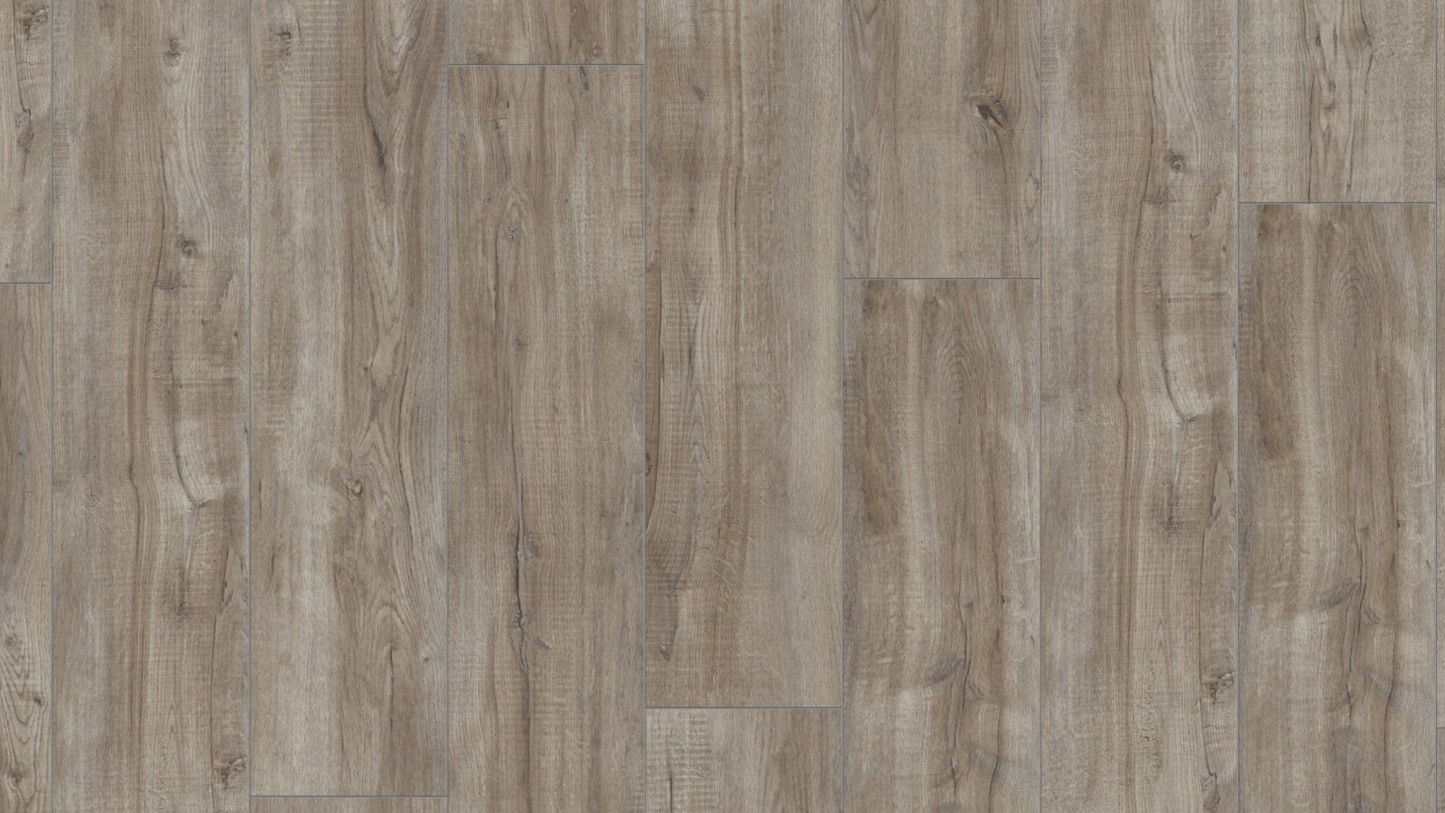 Kronotex Exquisit plus Montmelo Eiche Silber XL Landhausdiele Laminat