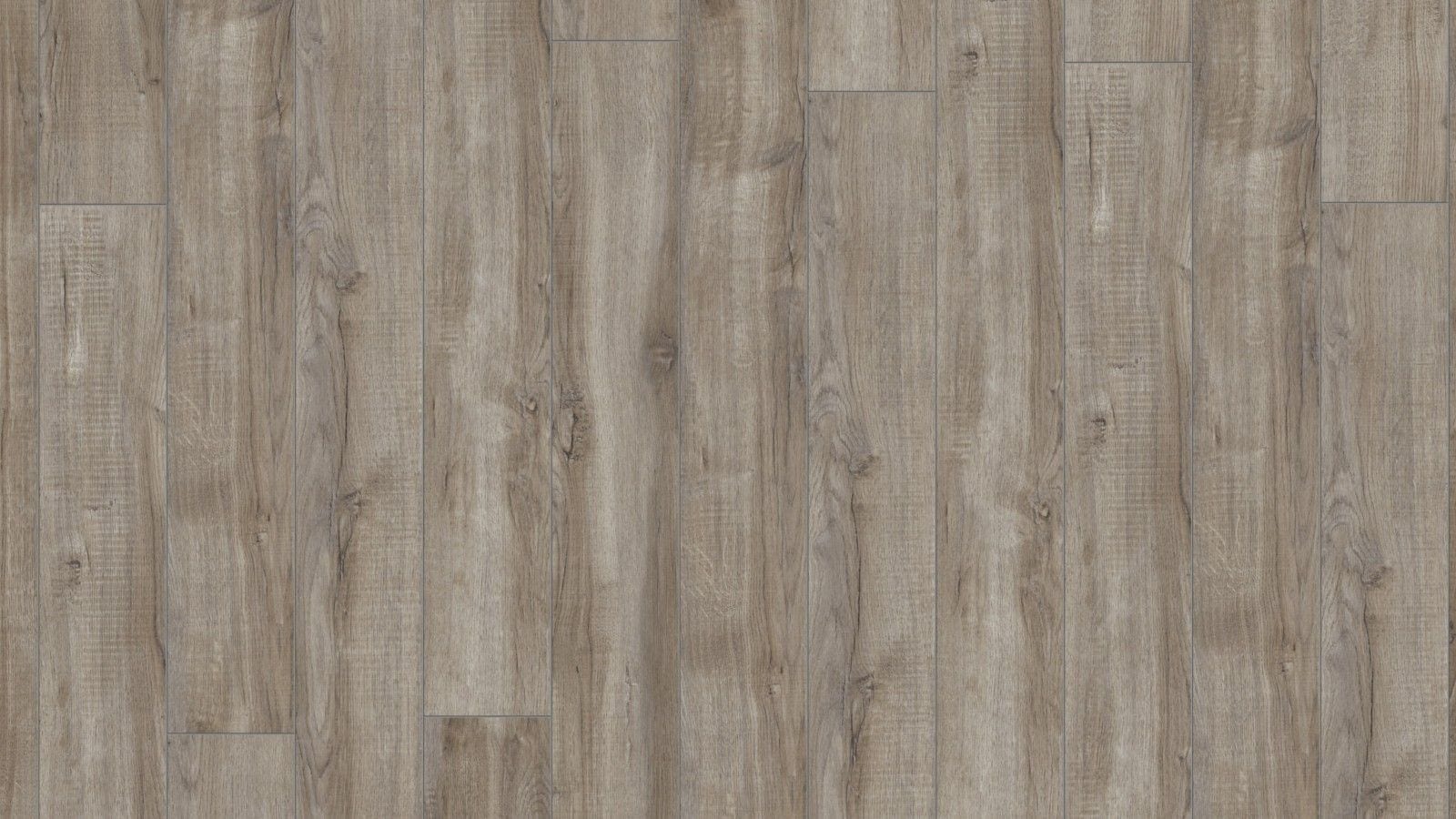 Kronotex Amazone Montmelo Eiche silber Landhausdiele Laminat
